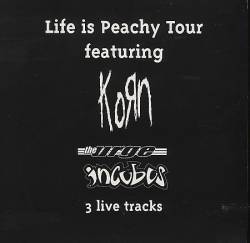 Korn : Life Is Peachy Tour